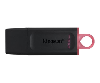 Pendrive (pamięć USB) Kingston 256GB DataTraveler Exodia (USB 3.2 Gen 1)